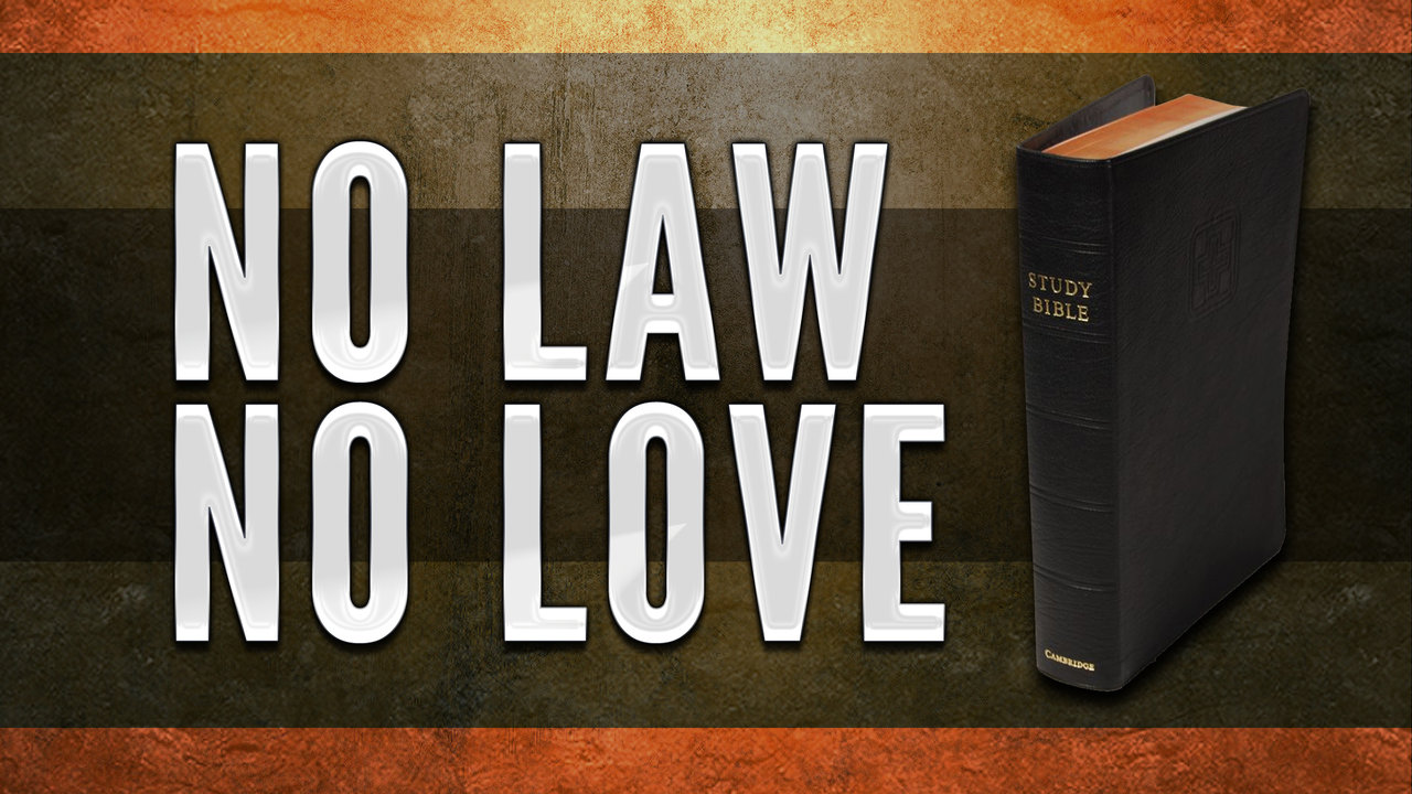 No Law No Love 