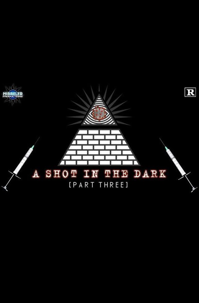 A Shot In The Dark - Part 3